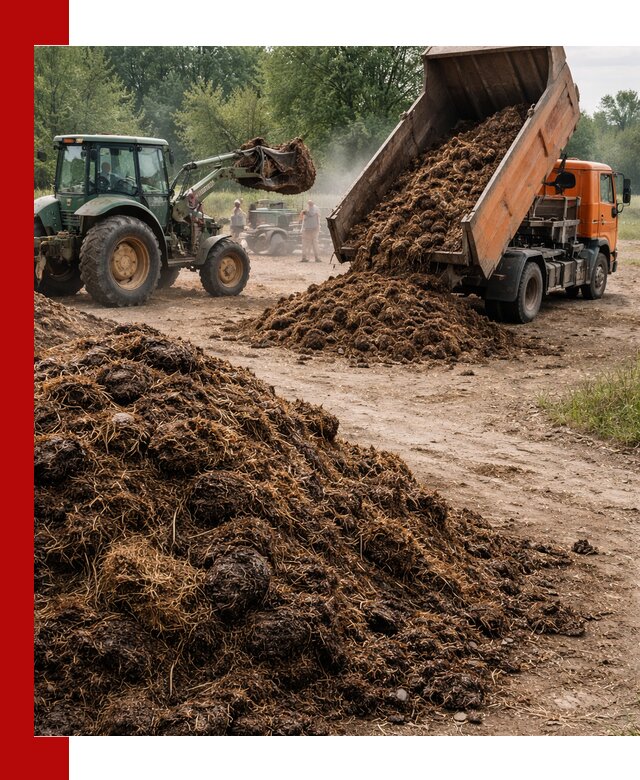 Доставка навоза самосвалами в Зеленодольске для сельхозпотребностей